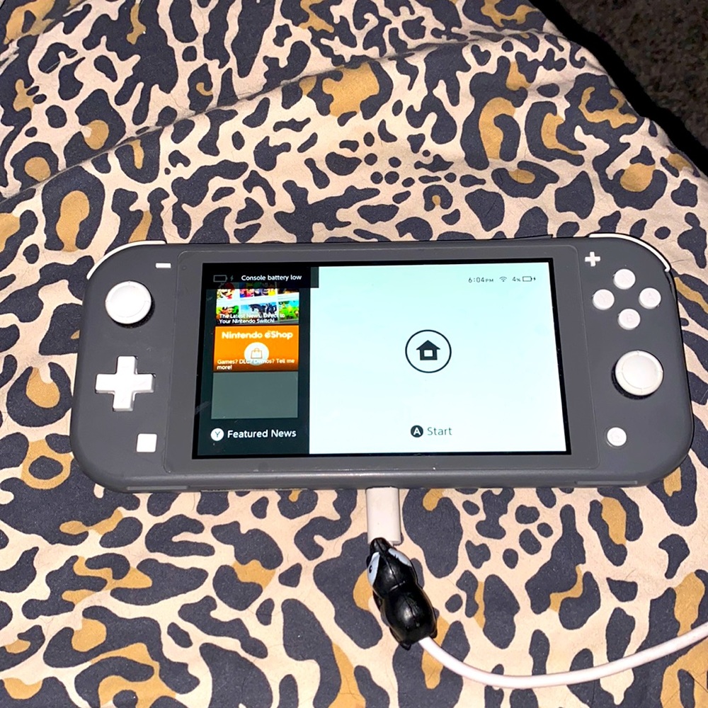 Nintendo switch lite + Mariokart 8 game + case